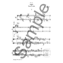 Hugh Wood: Piano Concerto Op. 32 (2 Piano)