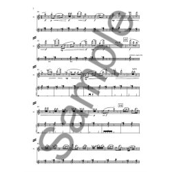 Nico Muhly: Radiant Music