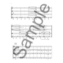 Nico Muhly: Diacritical Marks (Score/Parts)