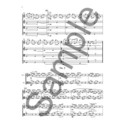 Nico Muhly: Diacritical Marks (Score/Parts)