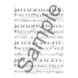 Nico Muhly: Hudson Preludes