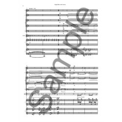 Nico Muhly: Bright Mass With Canons - Version With Two Pianos & Percussion (Parts)