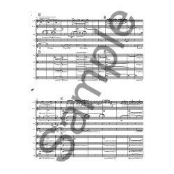 Nico Muhly: Drones, Variations, Ornaments - For Ensemble