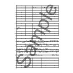 Nico Muhly: Viola Concerto (Score)
