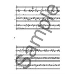 Nico Muhly: Doublespeak - Chamber Ensemble