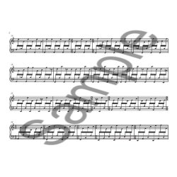 Nico Muhly: Fast Cycles