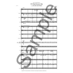 Nico Muhly: Tv&iacute;s&ouml;ngur