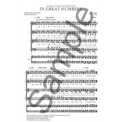 Nico Muhly: In Great Numbers