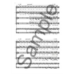 Nico Muhly: In Great Numbers