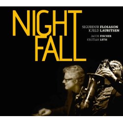 Sigurdur Flosason: Night Fall
