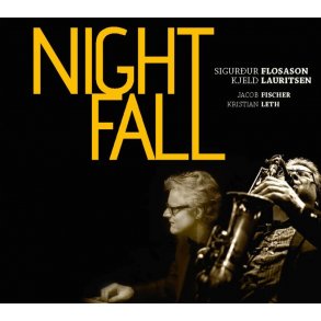 Sigurdur Flosason: Night Fall