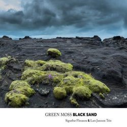 Sigurdur Flosason: Green Moss Black Sand