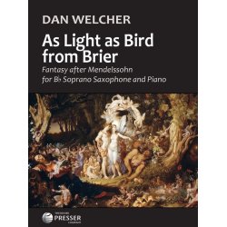As Light as Bird from Brier : Fantasy after Mendelssohn