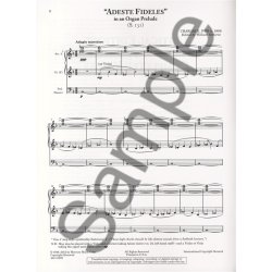 Charles E. Ives: Complete Organ Music