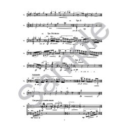 Benet Casablancas: Ricercare Para Chillida - Cello Score