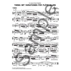 Tilo Medek: Theme And Variations For Flute Solo