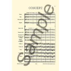 Christian Sinding: Piano Concerto Op.6 (Score)
