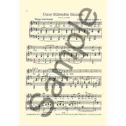 Alexander Zemlinsky: Lieder Op.5 Book 2 (Medium Voice)