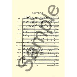 Christian Sinding: Violin Concerto Op.45