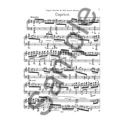 Aln&iuml;s Caprice Op.20 Nr.2 Pf