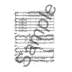 KLAVERKONCERT NR.2 OP. 23 D-MOLL