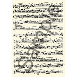 Carl Flesch: Studies And Exercises For Violin Solo Volume 3