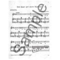 Der Star Syv Store Stjerne