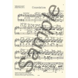 Jean Sibelius: 13 Pieces Op.76 No.5 'Consolation'