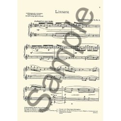 Jean Sibelius: 13 Pieces Op.76 No.11 'Linnaea'