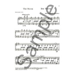 Jean Sibelius: Five Characteristic Impressions Op.103 No.4 - The Storm