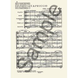 Poul Schierbeck: Capriccio Op.53