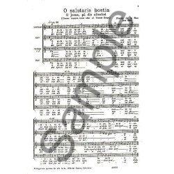 Motets From The 16th Century (Motetter Og Lauder)