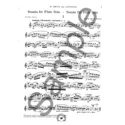 Sven-Erik B&auml;ck: Sonata For Flute Solo