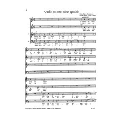 Bj&oslash;rn Hjelmborg: Fem Franske Juleviser (satb)