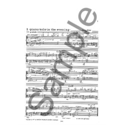 Antonio Bibalo: Piano 'Solo' In The Evening