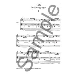 Pelle Gudmundsen-Holmgreen: Lys (Light)