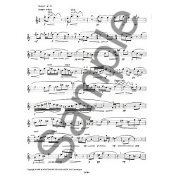 Olav Anton Thommessen: The Blockbird