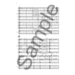 Per N&oslash;rg&aring;rd/S&oslash;ren Birch (Arr.): Nine Friends - Arranged for Nine Instruments (Score)