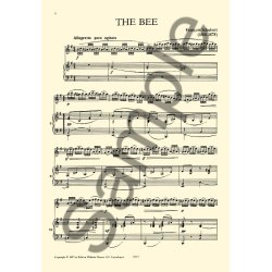 Francois Schubert: The Bee (Descant Recorder)