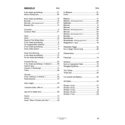 Min Altblokflojtebog 2