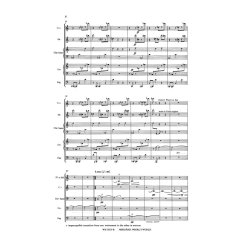 Per Nrgrd: Whirl's World (Score)