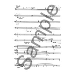 Bent S&oslash;rensen: The Deserted Churchyards (Parts)