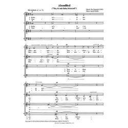 Per Nrgrd: Abendlied (Zwei Wolfli Lieder)