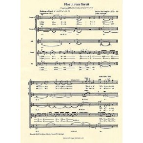 Per Nrgrd: Flos Ut Rosa Floruit