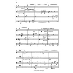 Ole Buck: Microcosmos (Score)
