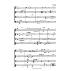 Ole Buck: Microcosmos (Score)