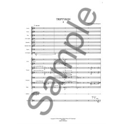 Gudmundsen-holmgreen Triptykon Percussion Concerto Conductor's Score