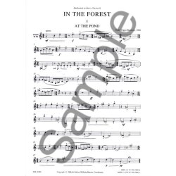 Niels Viggo Bentzon: In The Forest