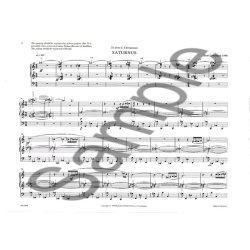 Bent Lorentzen: Saturnus (The Planets)