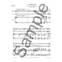 Anders Koppel: Capriccio